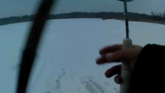 Карьер или озеро .