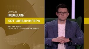 Кот Шредингера. Эволюция полового размножения и отношения полов. Выпуск от 08.02.2026