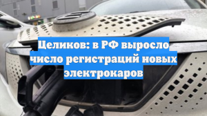 Целиков: в РФ выросло число регистраций новых электрокаров