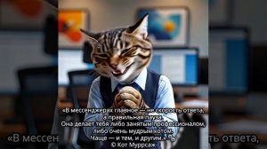 Кот Муррсаж о мессенджерах