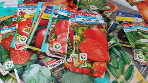 Семена томатов 2026 год