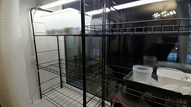 Внимание! Не пропустите первые всходы!