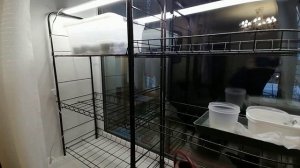 Внимание! Не пропустите первые всходы!