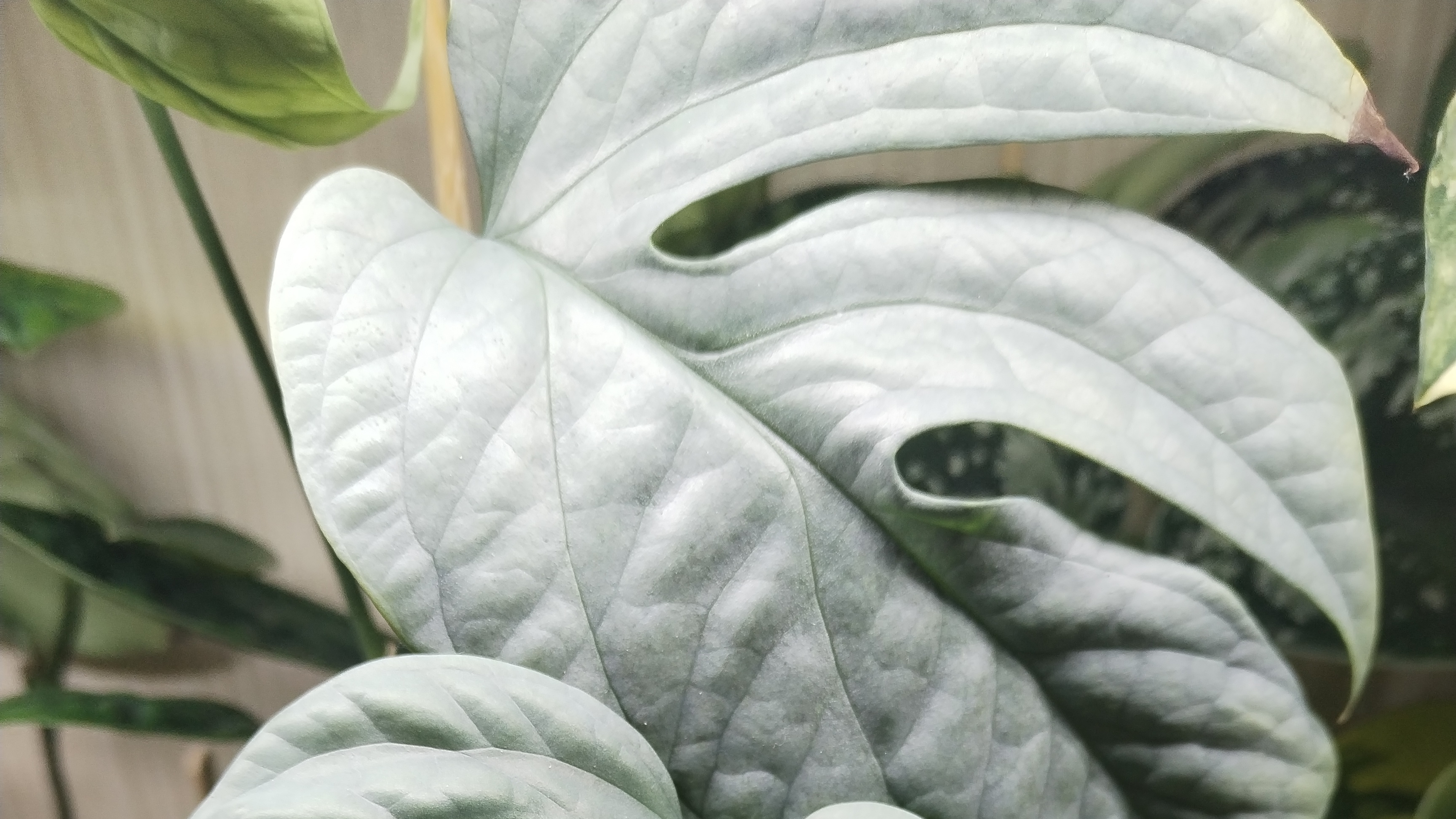 Пробежимся по полочкам. смотреть онлайн