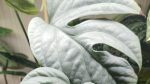 Пробежимся по полочкам.