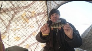 РЫБАЛКА удалась!!!ГУСИНОЕ озеро РАЗДАЕТ!!!