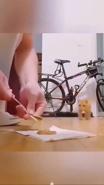 Голод не тетка