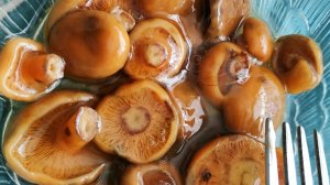 Воскресенье. Холодец, печень, маринованные рыжики.