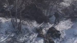 Константиновское направление.