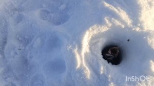 Вторая проверка ! Не ожидал такого результата 😮