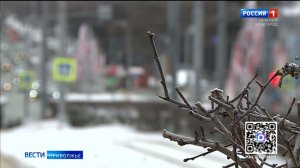 Какая погода ждет нижегородцев на этой неделе?