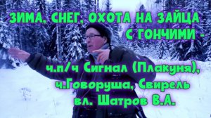 ЗИМА, СНЕГ, ОХОТА НА ЗАЙЦА С ГОНЧИМИ - ч.п/ч Сигнал (Плакуня), ч.Говоруша, Свирель вл. Шатров В.А.