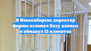 В Новосибирске директор фирмы взломал базу данных и обманул 13 клиентов