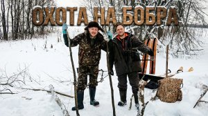 Охота на бобра #52.2 \ Проверка капканов / Заяц пророк