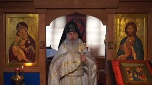 О важности крещения и действия греха - Схиигумен ГАВРИИЛ (Виноградов-Лакербая) запись проповеди