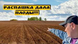 РАСПАШКА ДАЛА ПЛОДЫ!!!