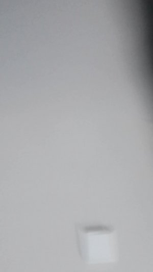 играем с котиком