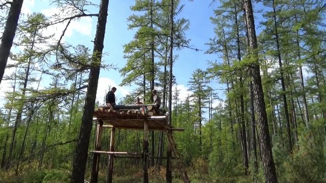 Таёжный ЛАБАЗ от Медведя: что ЭТО такое и как Его Построить смотреть онлайн