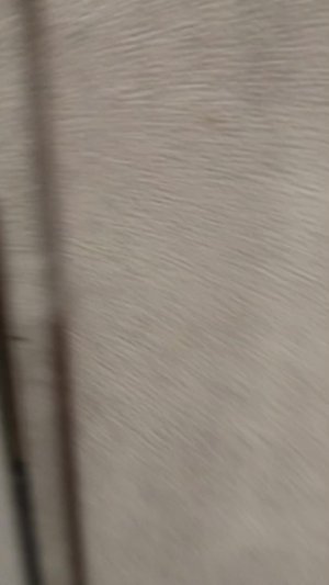 скажите умный или нет