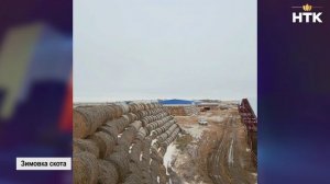 В Калмыкии подходит к концу зимовка скота