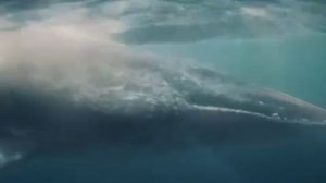 Вышел  ремейка «Моаны» от Disney — в главных ролях Дуэйн Джонсон и Кэтрин Лага’айя.