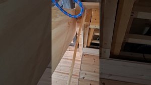 1000048122.mp4 (Собака наблюдает за устройством лестницы на 2 этаж в доме А-фрейм)