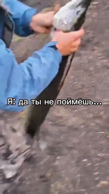 Не все могут понять🎣😃 смотреть онлайн