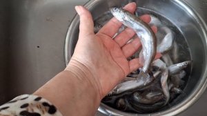 7.02.26. Жарю мойву.Погода испортилась.