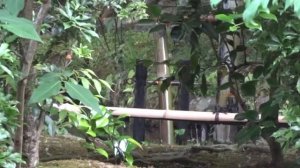 Сиси-одоси (鹿威し) / сёдзу (添水) в японском саду N1