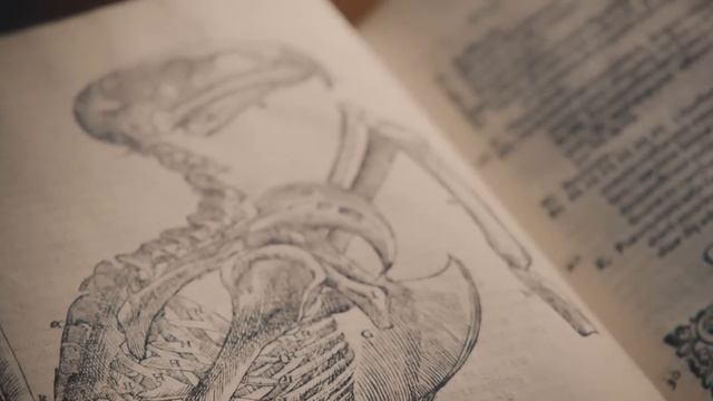 Nightwish - Perfume of the timeless смотреть онлайн