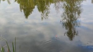 Рыбалка на карася поплавочной удочкой в мае