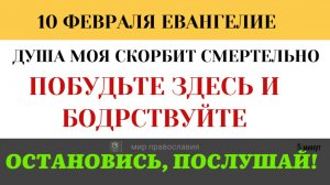 10 февраля Спящие друзья. Почему ученики не смогли выдержать один час молитвы с Иисусом?5 минут
