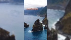 Ответ Алисы на вопрос: "Что важнее в жизни человека?".