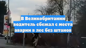 В Великобритании водитель сбежал с места аварии в лес без штанов