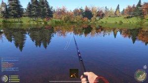 Russian Fishing 4 / Купили НОЖ