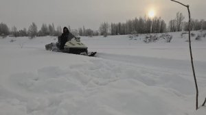 Жерлицы проверка . 4 день.