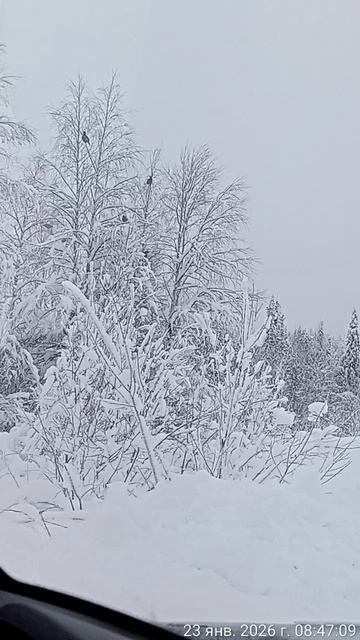 TimeVideo_20260123_084703.mp4 смотреть онлайн