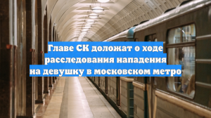 Главе СК доложат о ходе расследования нападения на девушку в московском метро