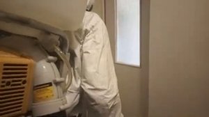 Дезинфекция подъезда от блох