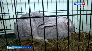 ГТРК СЛАВИЯ День открытых дверей в химико-технологическом институте НовГУ 09.02.26