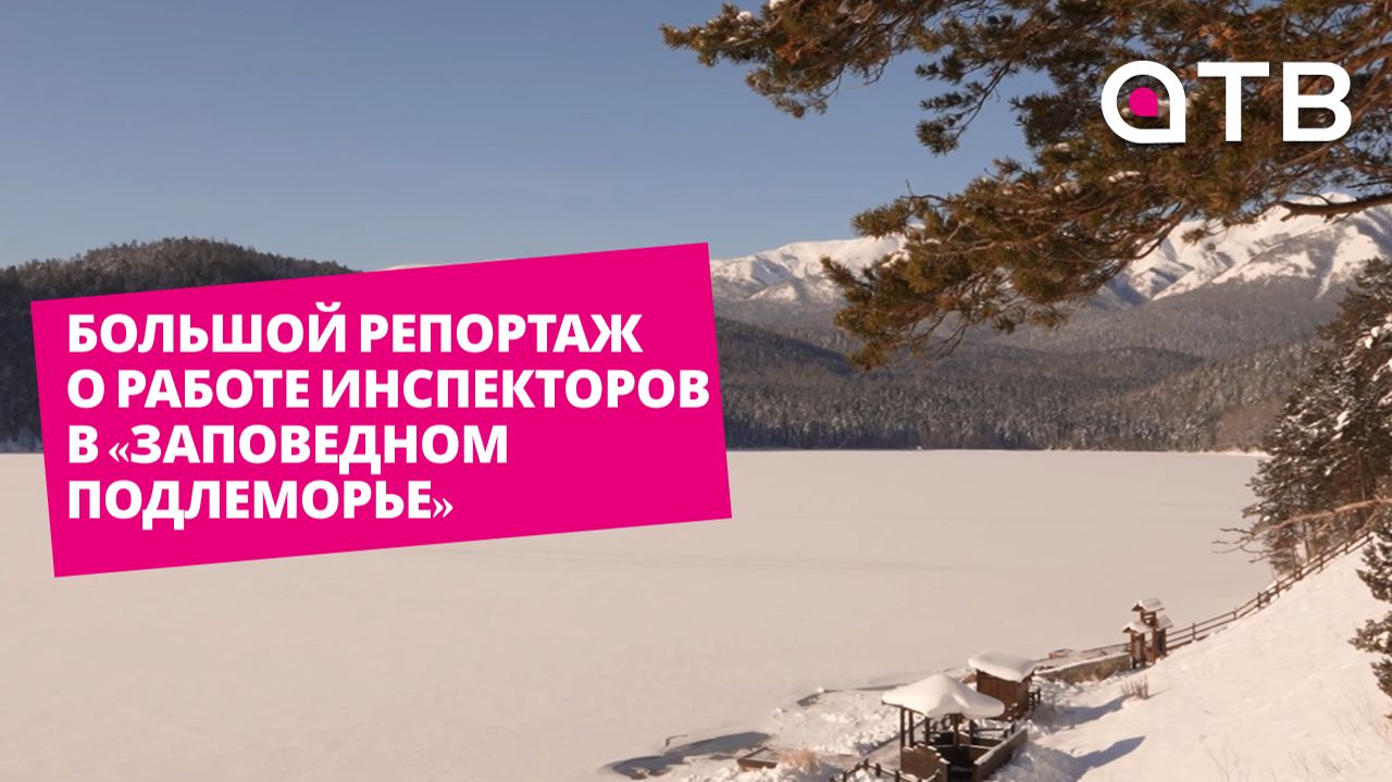 Большой репортаж о работе инспекторов в «Заповедном Подлеморье» смотреть онлайн