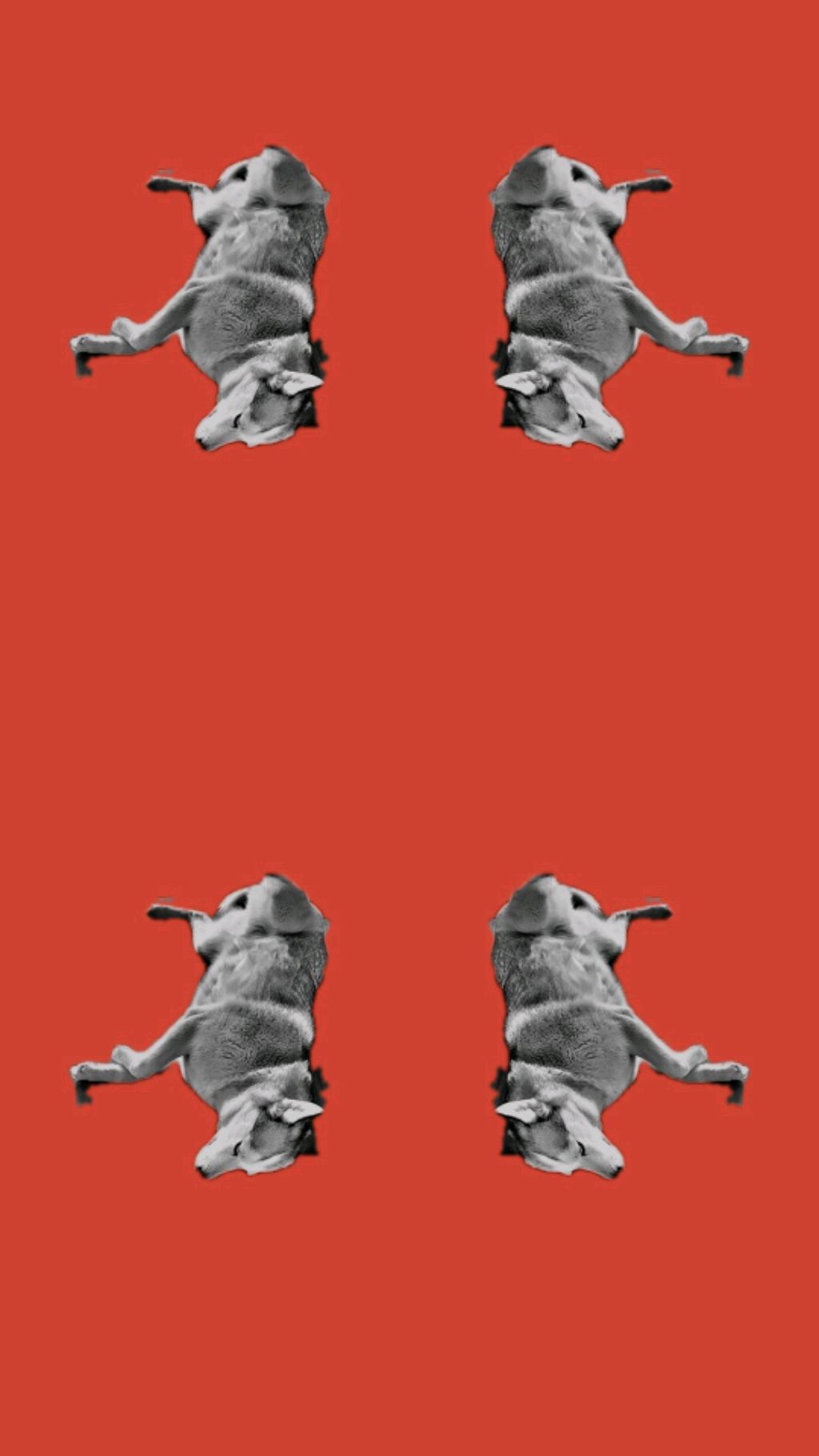 Влад закроев подпишись пж