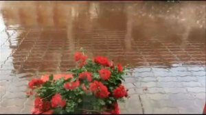 Я СТОЛЬКО ЛЕТ @НИКОЛАЙБЕРЕГ