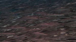 Барракуда и косяк молоди, акулы, каранксы и тунцы