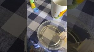 79233210982__3983C783-8631-4DE9-8495-560230521F83