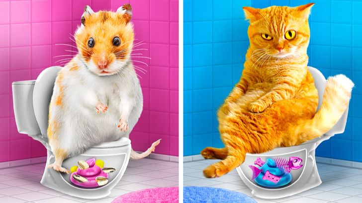 Лайфхаки с питомцами 🐾 Зоопарк в комнате: из бедного в богатого смотреть онлайн