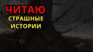 ЧИТАЮ Страшные истории ( Стрим 14 )