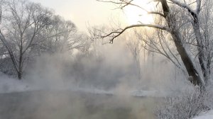 Рязанцы обратились к экологам из-за странного водоёма