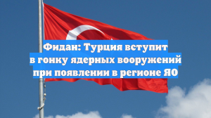 Фидан: Турция вступит в гонку ядерных вооружений при появлении в регионе ЯО