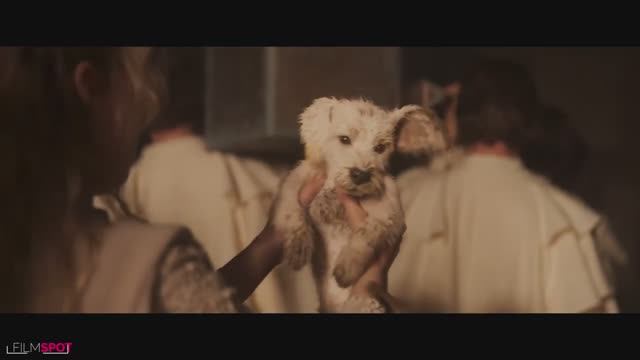 СУПЕРГЕРЛ  Супергерл встречает малыша Крипто Трейлер 2026